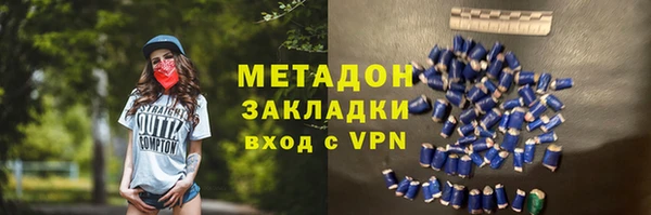 прущие грибы Белокуриха