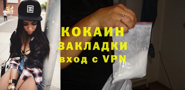 прущие грибы Белокуриха