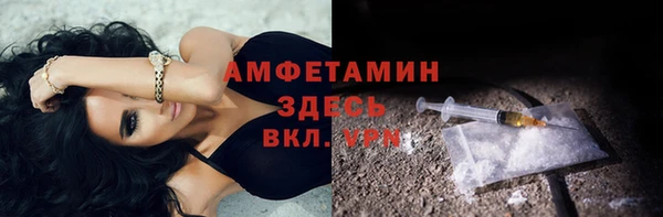 прущие грибы Белокуриха