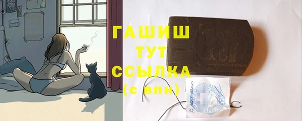 прущие грибы Белокуриха