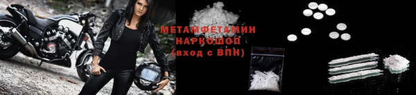 прущие грибы Белокуриха