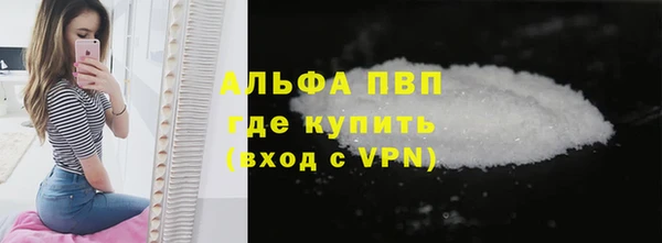 прущие грибы Белокуриха