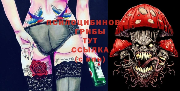 прущие грибы Белокуриха