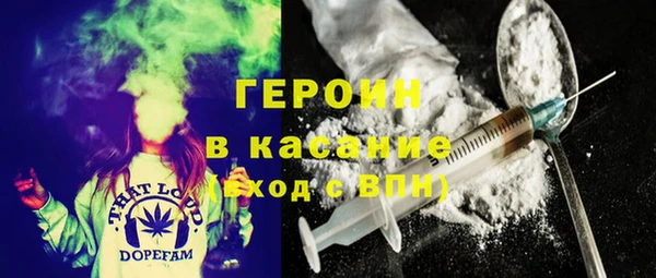 прущие грибы Белокуриха