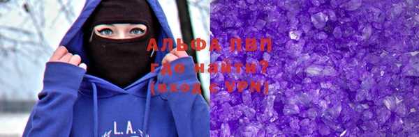 прущие грибы Белокуриха