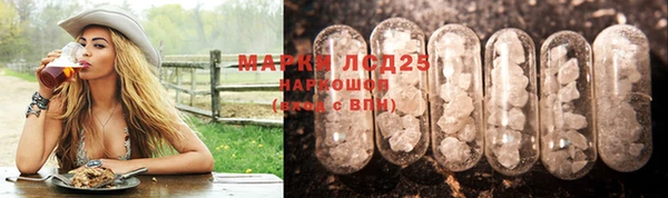 прущие грибы Белокуриха