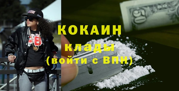 прущие грибы Белокуриха