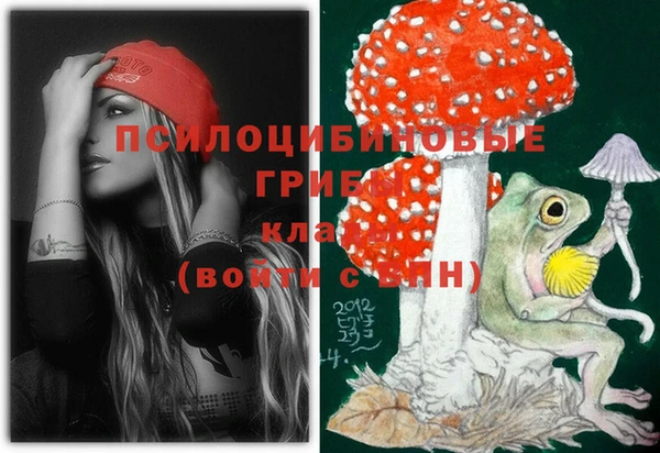 прущие грибы Белокуриха