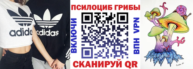 наркошоп  Кола  Псилоцибиновые грибы прущие грибы 